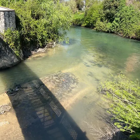 Primavera * Terni